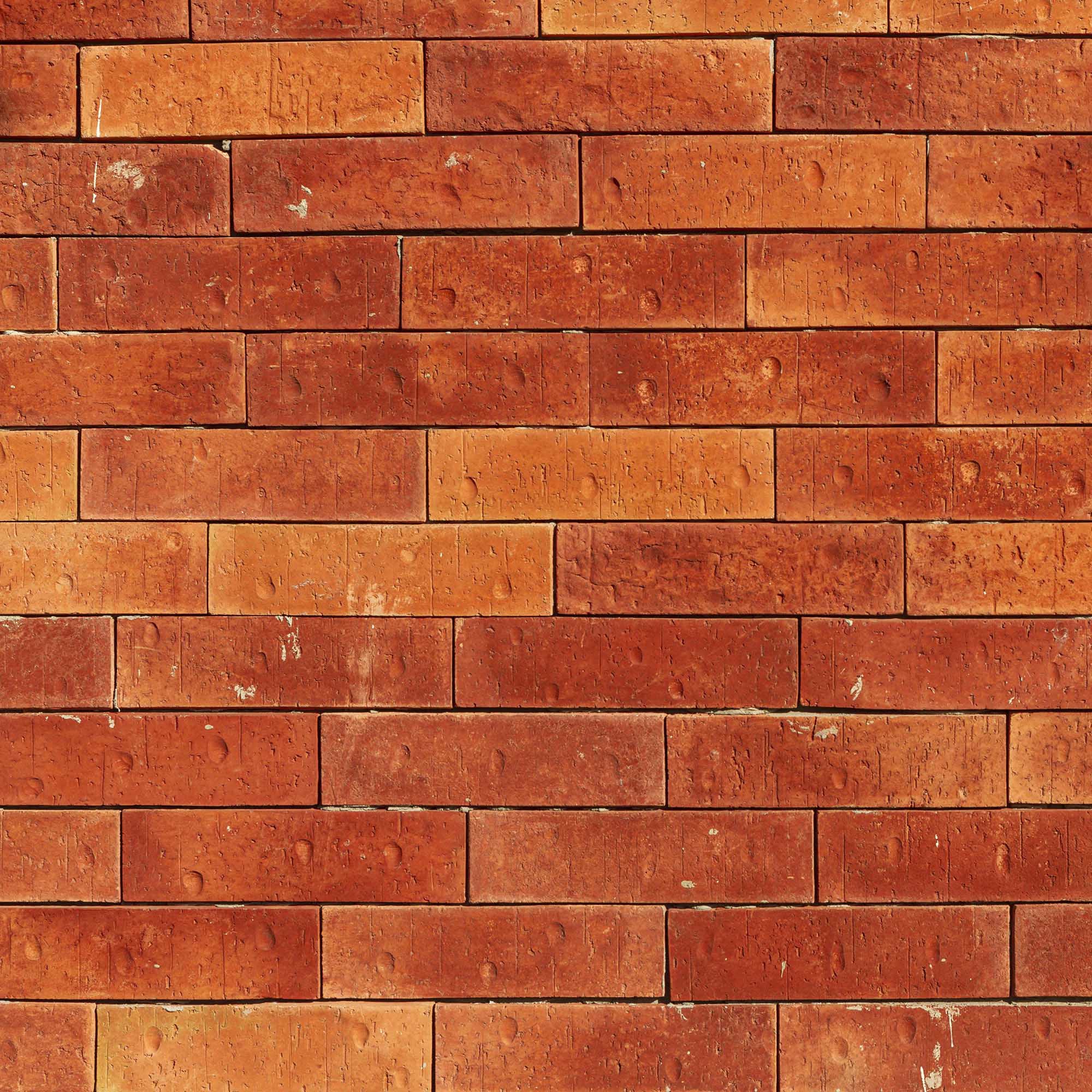 Beer Glazed Bacon Design Subtle Elegance Modern Style Wallpaper for Living Rooms Bedrooms